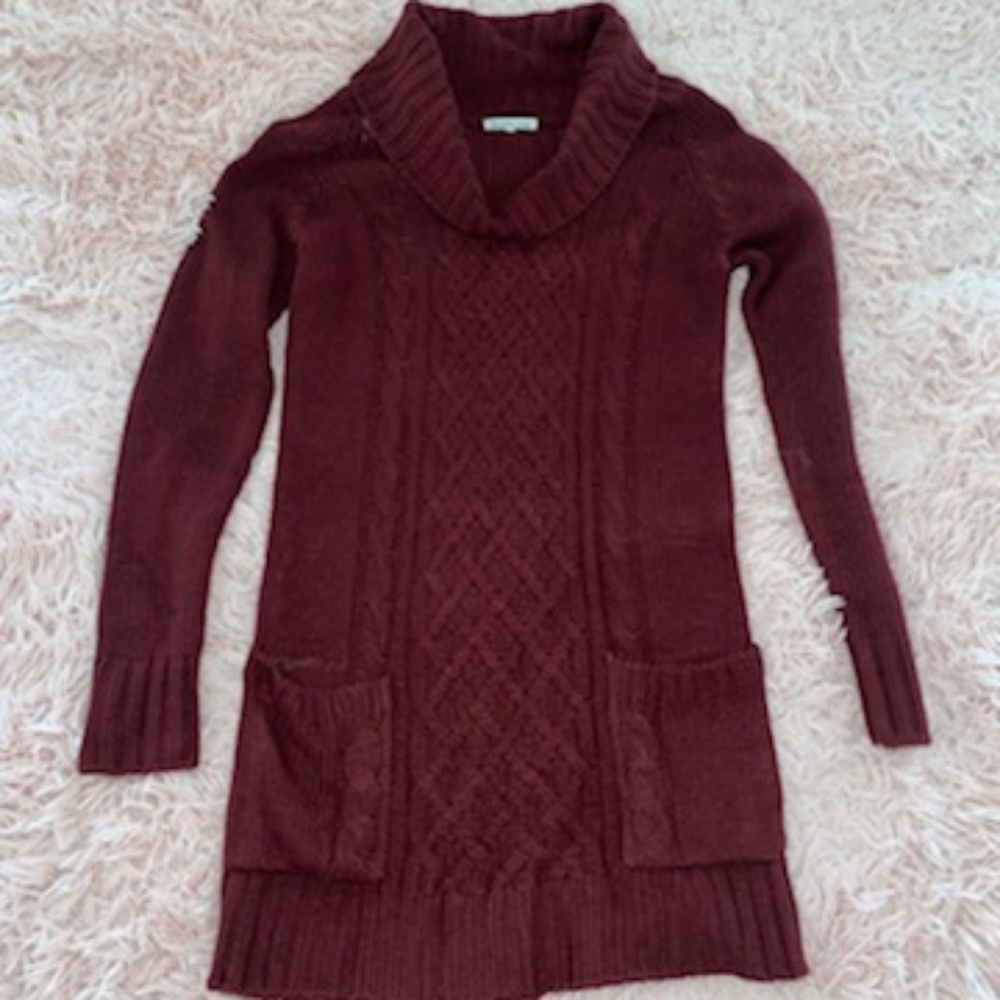 Charlotte Russe Cowl neck sweater dress